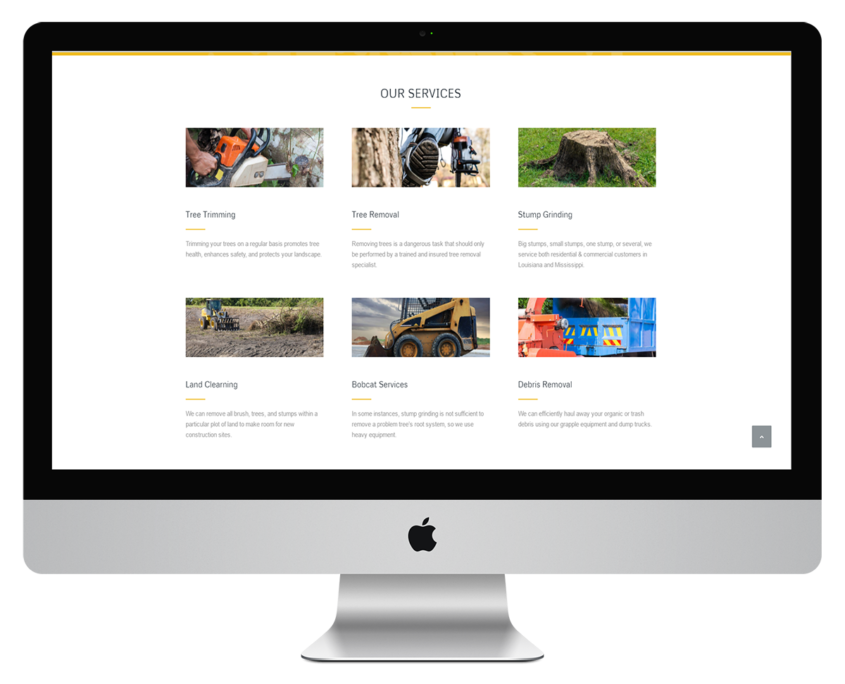 services services