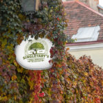 Singletary Tree Service Logo