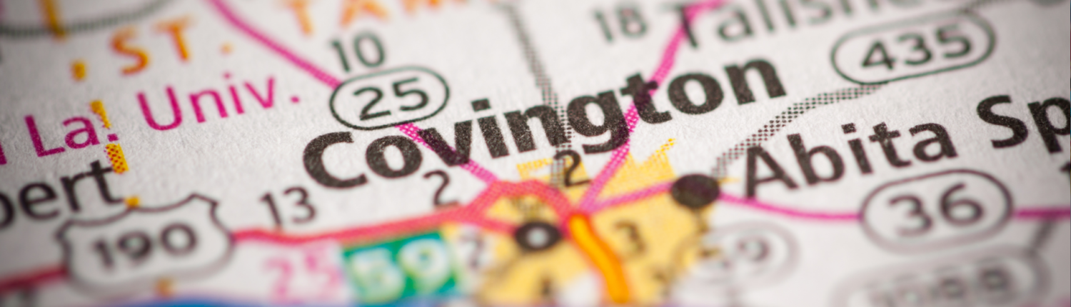 Web Design in Covington LA