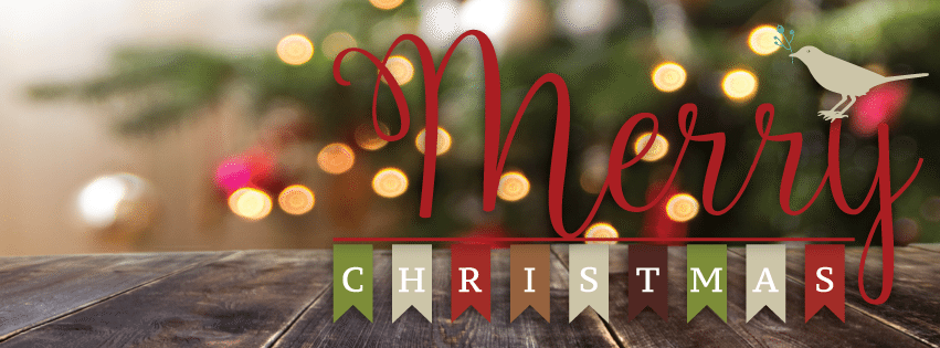 robyns christmas day fb cover