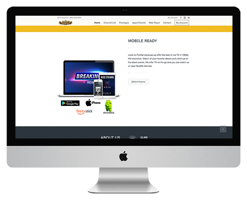 Allset TV Streaming TV Web Design 6
