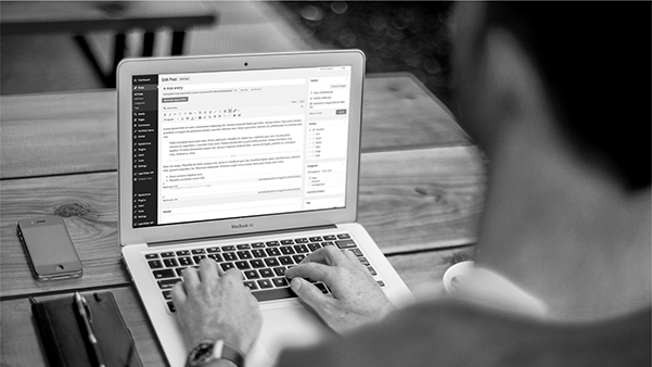 Bayou Web Design in Slidell