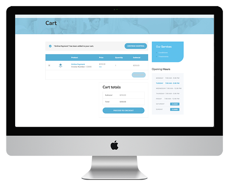 Recover PT Online Payment Option Cart Page Recover PT Online Payment Option Cart Page